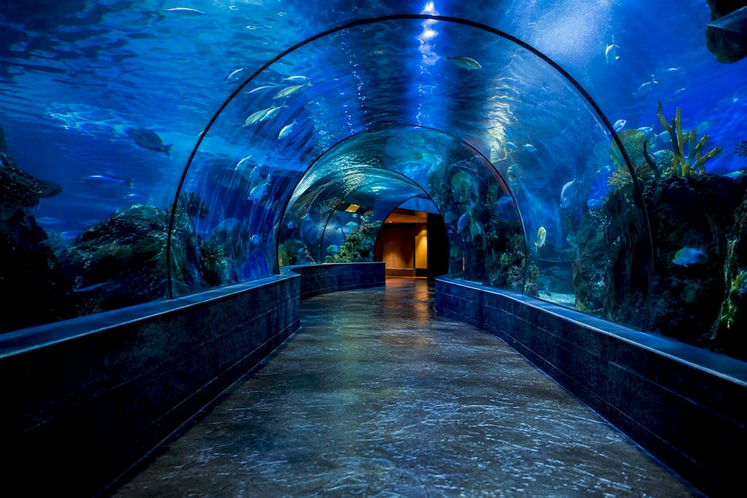 Aquarium tunnel near Crown Center hotel