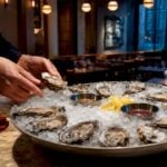 Oysters arranged on a chilled seafood bar
